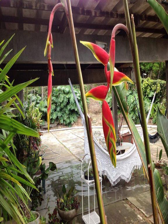 Braunes Guest House Nova Friburgo Exterior foto