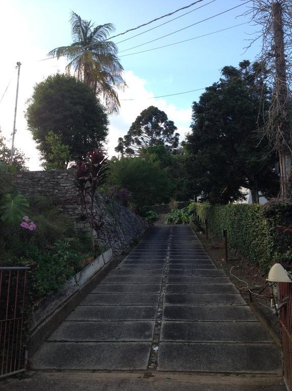 Braunes Guest House Nova Friburgo Exterior foto