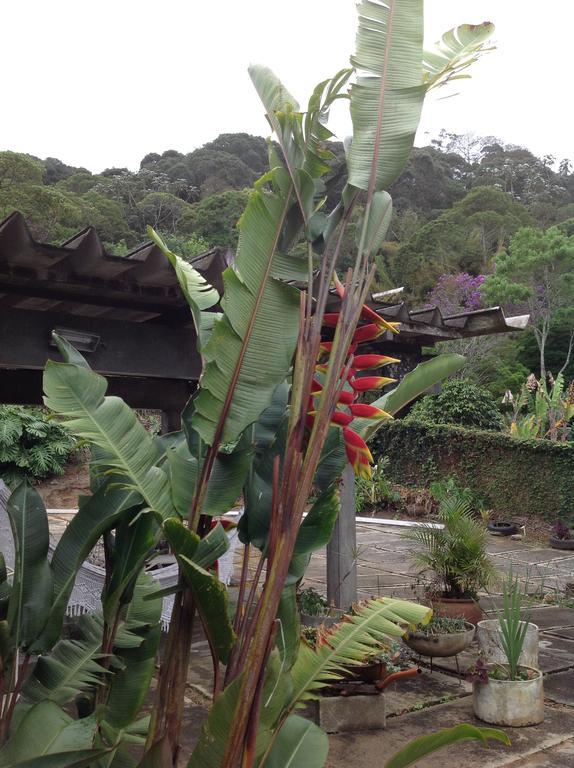 Braunes Guest House Nova Friburgo Exterior foto